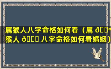 属猴人八字命格如何看（属 🌺 猴人 💐 八字命格如何看婚姻）